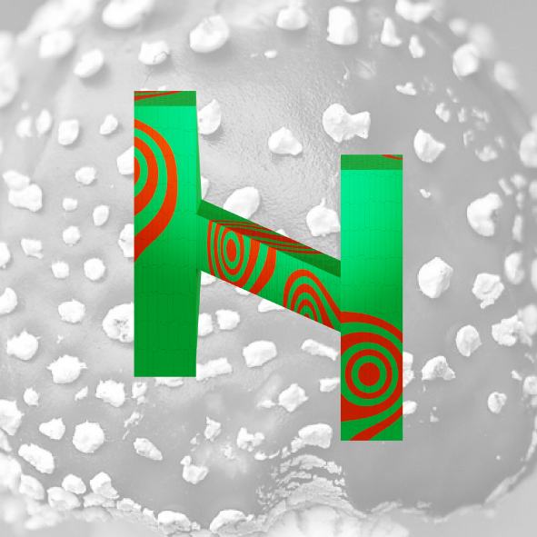 H